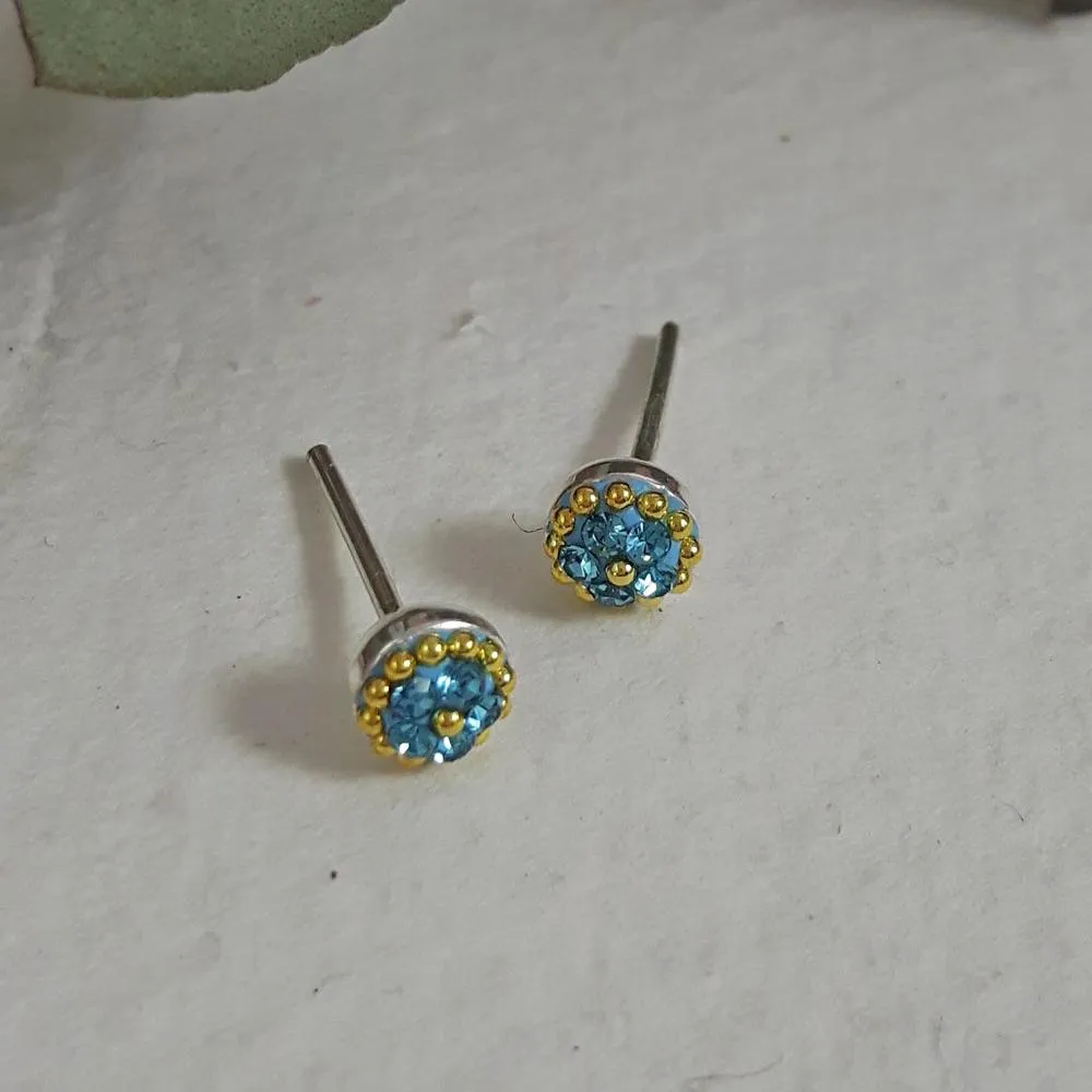 Allegra Tiny Aquamarine Stud Earrings