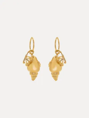 Coral & Shell Hoop Earrings