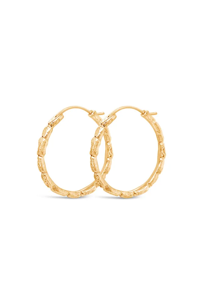 Hoops ~ Coral Large in Gold