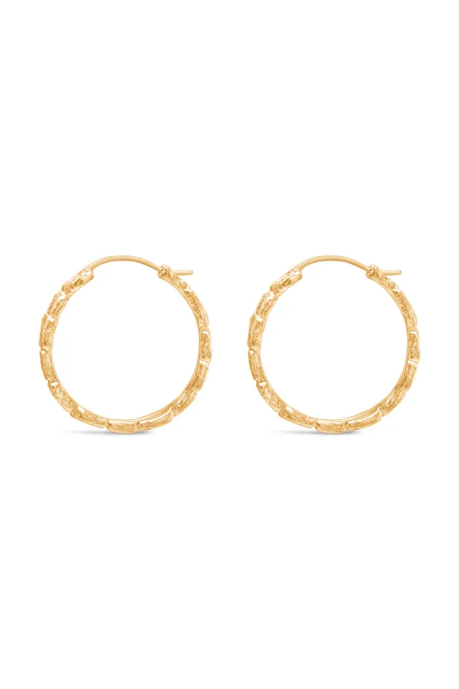 Hoops ~ Coral Large in Gold