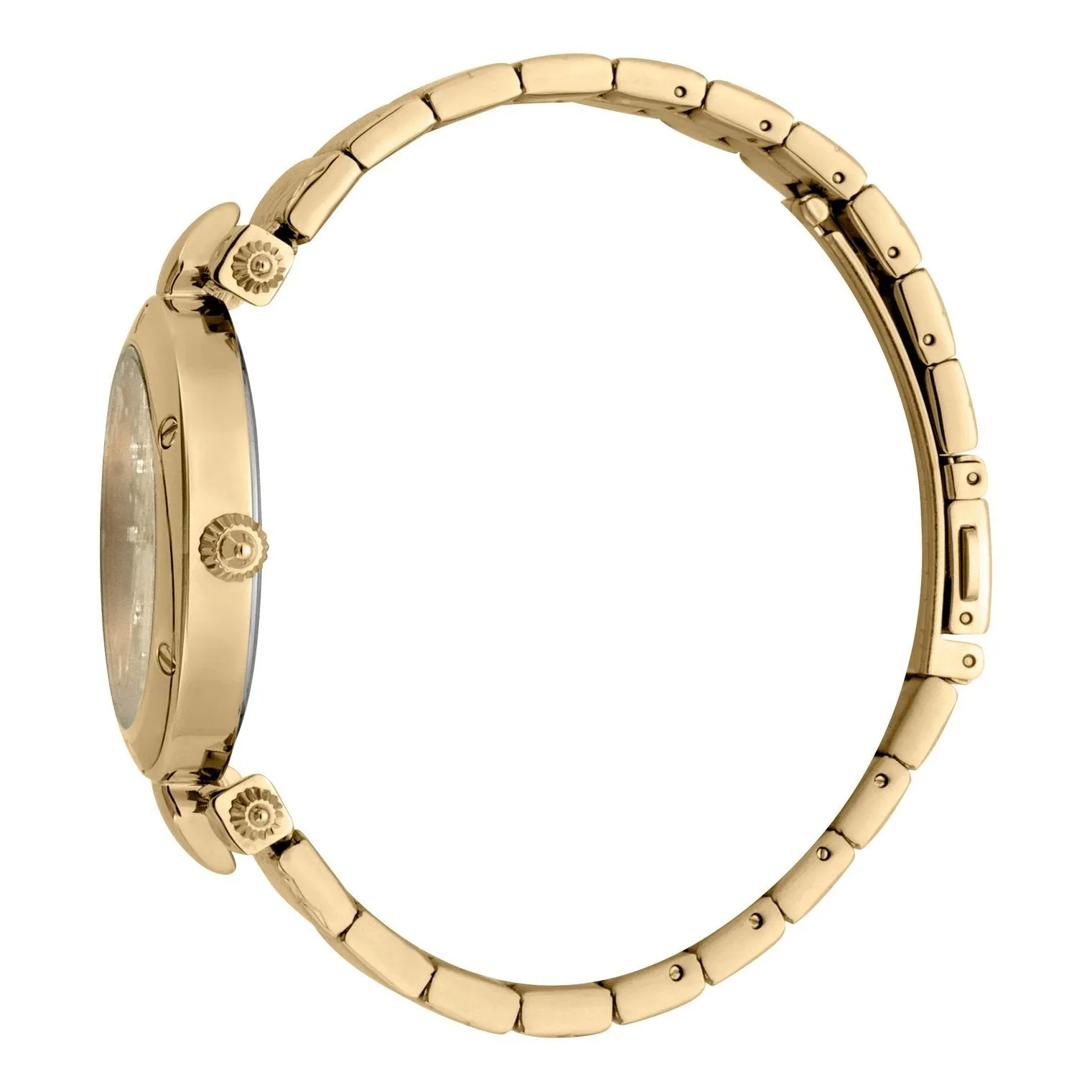 Ladies Logo Watch (JC1L122M0065)