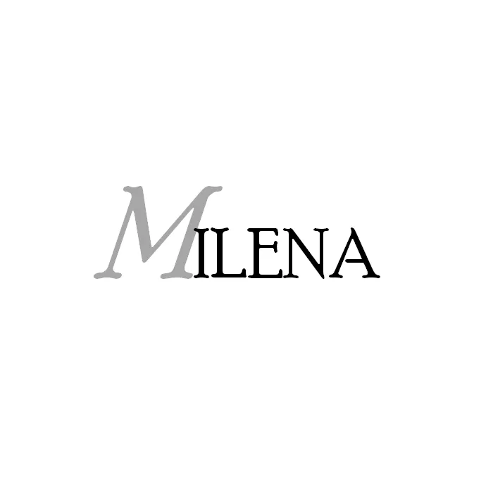 MILENA stud earrings Silver and Onyx Elegant